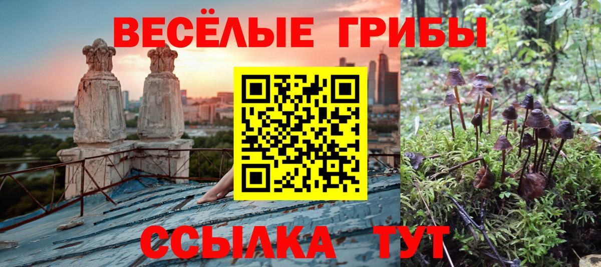 Рузаевка  Псилоцибиновые грибы прущие грибы  Вход с VPN 