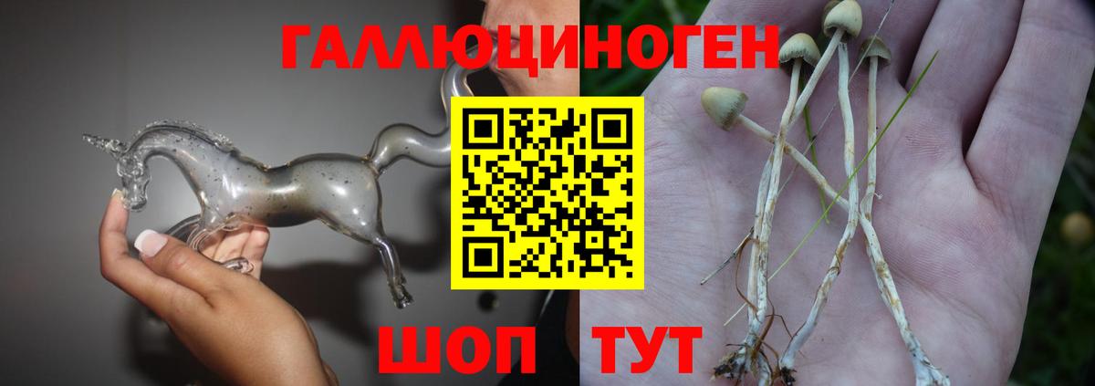 Галлюциногенные грибы Cubensis Рузаевка
